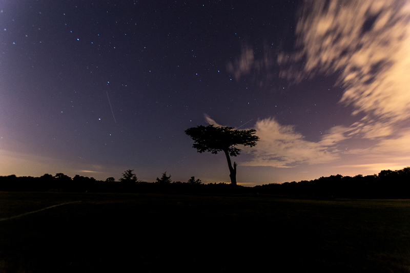 Shooting stars in the park