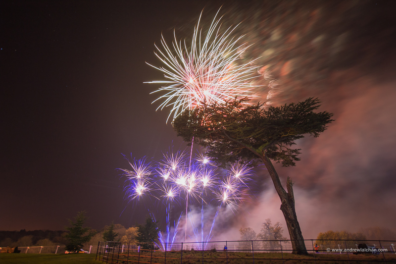 Fireworks in Cassiobury Park